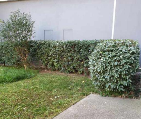 travaux jardinage travaux jardinage
